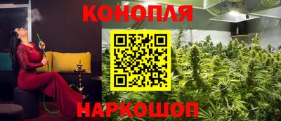 гашик Пыть-Ях